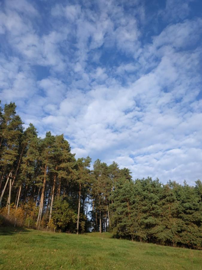 Domki Nad Jeziorem - Zalesie 7D Zalesie (Olsztyn) Экстерьер фото